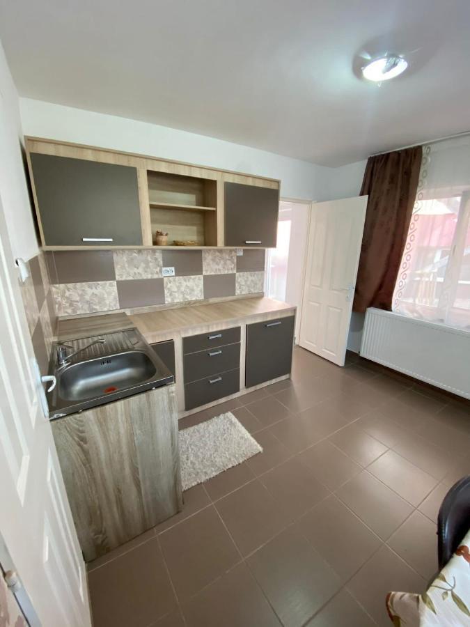 Ardelean Apartment Oradea Εξωτερικό φωτογραφία