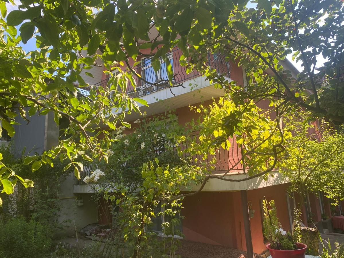 Ardelean Apartment Oradea Εξωτερικό φωτογραφία