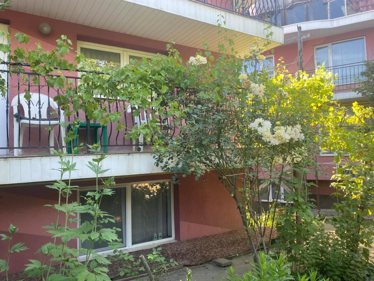 Ardelean Apartment Oradea Εξωτερικό φωτογραφία