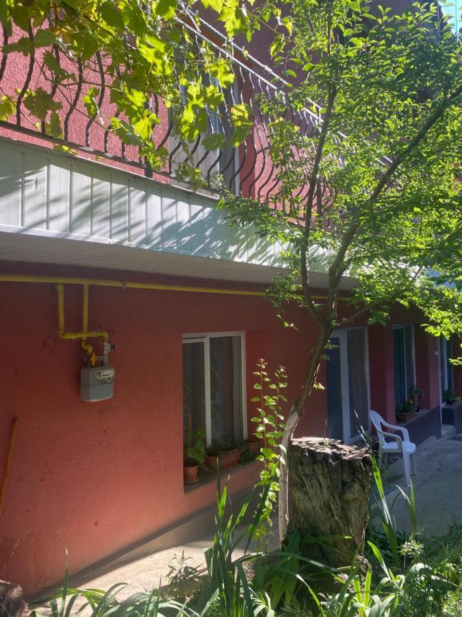 Ardelean Apartment Oradea Εξωτερικό φωτογραφία